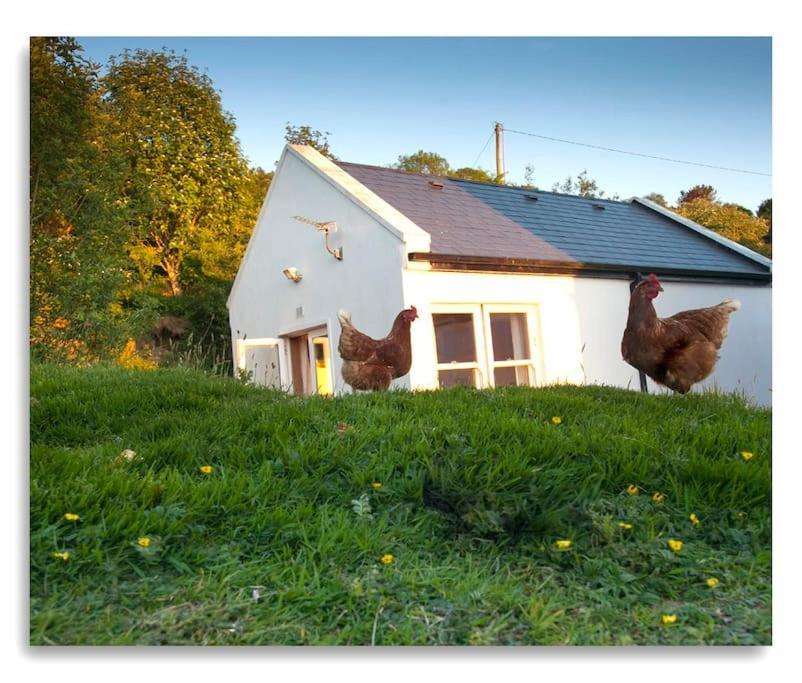 Cosy Self Contained Cottage With Stunning Views Киллало Экстерьер фото
